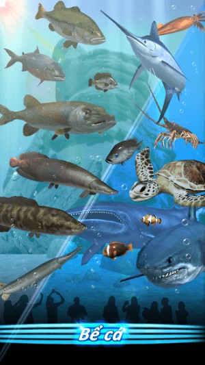 Xây dựng bể cá tuyệt đẹp