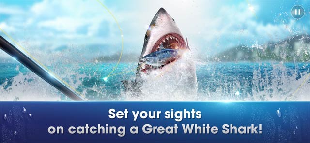 Bắt cá mập trắng quý hiếm