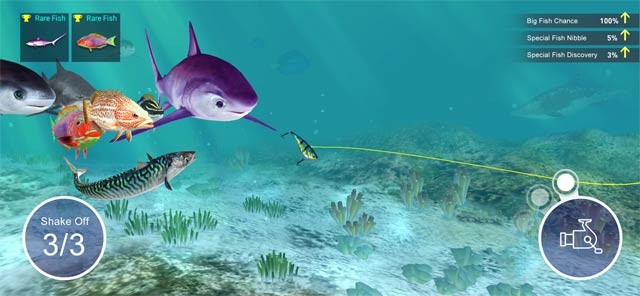 Bắt mọi loại cá bạn muốn