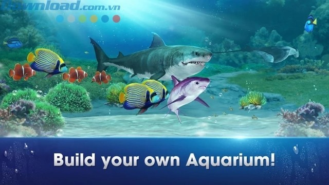 Xây dựng bể cá của riêng bạn