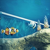Fishkeeper - Game Kinh Doanh Cá Cảnh Hấp Dẫn