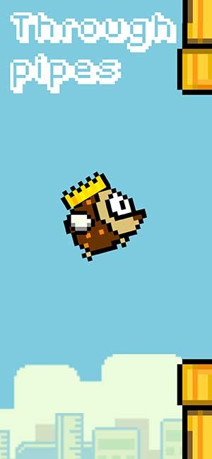 Bay qua các ống nước