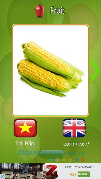 Chủ đề hoa quả