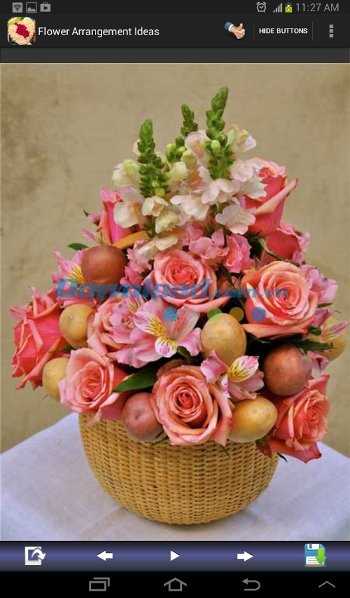 Dễ dàng tìm được cách cắm hoa ưng ý với Flower Arrangement Ideas
