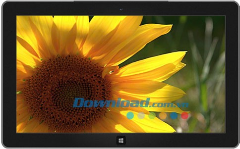 Flowers and Foliage theme