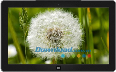 Flowers and Foliage theme