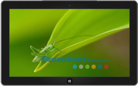 Flowers and Foliage theme