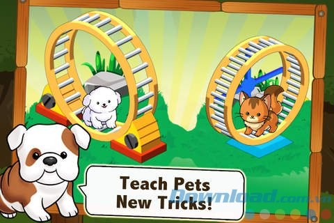 Dạy pet những trò chơi mới