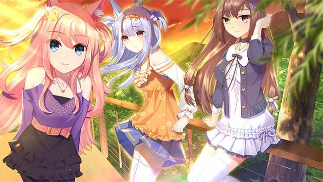 3 cô gái đáng yêu sẽ giúp Lin quản lý cửa hàng tiện lợi trong Fluffy Store