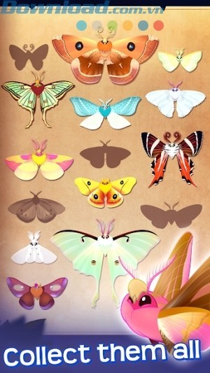 Thu thập các loài bướm đêm khác nhau