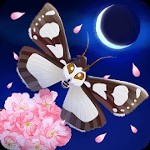 Flutter: Starlight - Game Nuôi Bướm Ảo Android 1.42