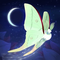 Flutter Starlight iOS: Game Nuôi Bướm Ảo Trong Rừng Đêm