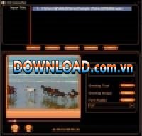 FLV Converter