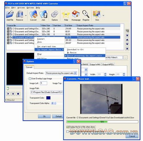 FLV to AVI DIVX MP4 MPEG RMVB WMV Converter
