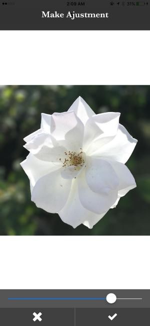 Điều chỉnh độ mờ của nền ảnh