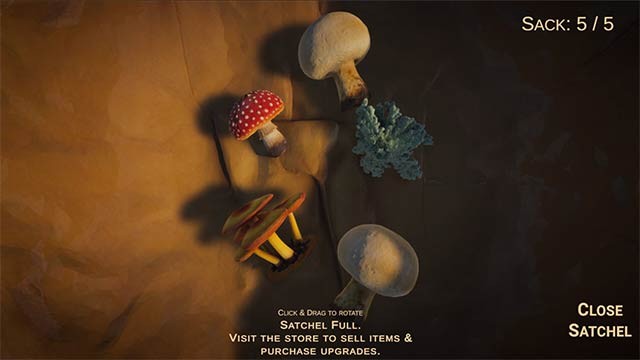 Hái nhiều loại nấm với mức độ phổ biến hay quý hiếm khác nhau