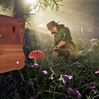 Forager's Finds - Game Hái Nấm Trong Rừng