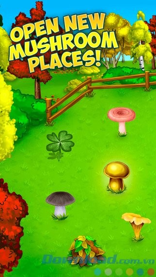 Mở rộng trang trại nấm