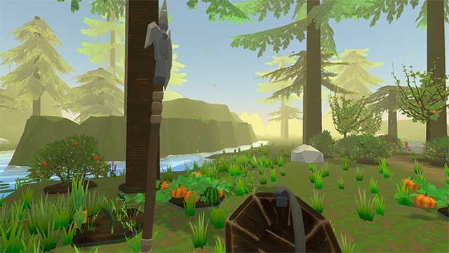 Forest Farm còn có nhiều hoạt động để bạn thực hiện