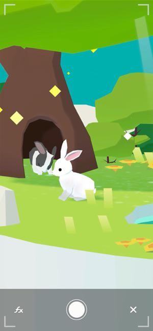 Chơi với các động vật đáng yêu