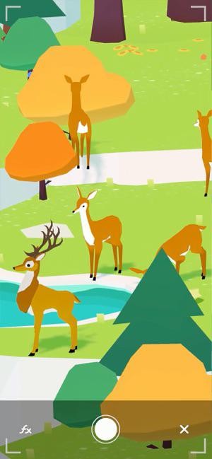 Tương tác với các loài động vật và ngắm nhìn hành vi của chúng