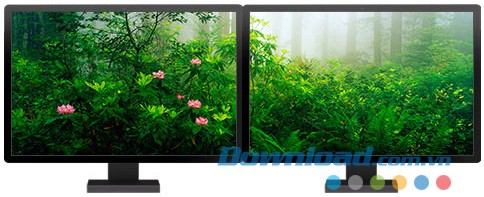 Forests panoramic theme