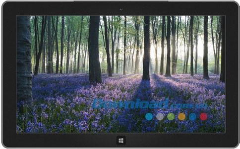 Forests Theme - Chủ đề Rừng Cây