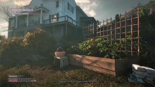 Chăm sóc khu vườn và trồng nhiều loài cây