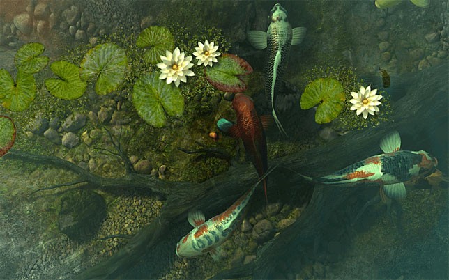Screensaver cá Koi