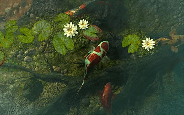 Màn hình chờ cá 3D