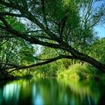 Free Nature Wallpapers - Hình nền thiên nhiên đẹp