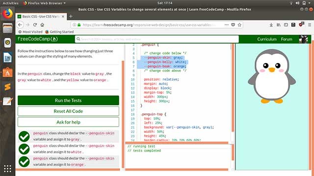 freeCodeCamp web có lượng tài nguyên khổng lồ