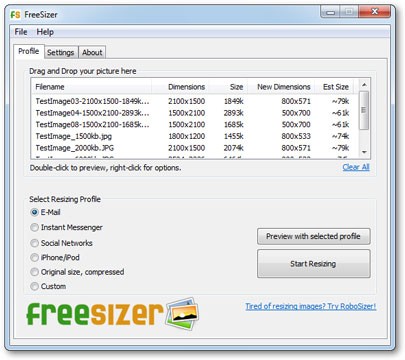 FreeSizer Portable (32 bit)