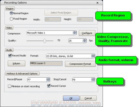 Freez Screen Video Capture