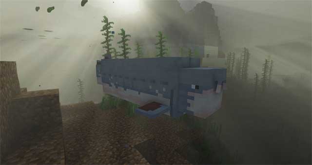 Bạn có thể thử nuôi các loài cá hung hãn này và biến chúng thú cưng