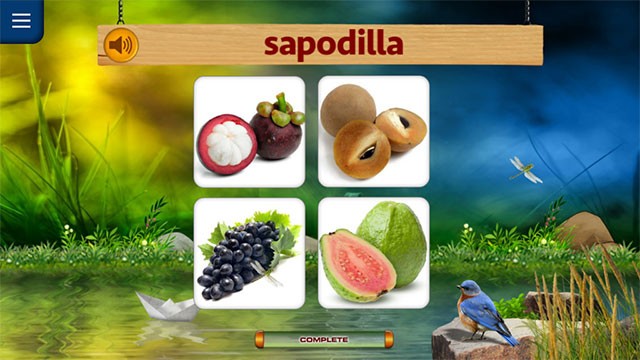 Học tiếng Anh qua hình ảnh