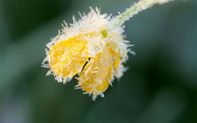 Bộ hình nền miễn phí cho Windows 10