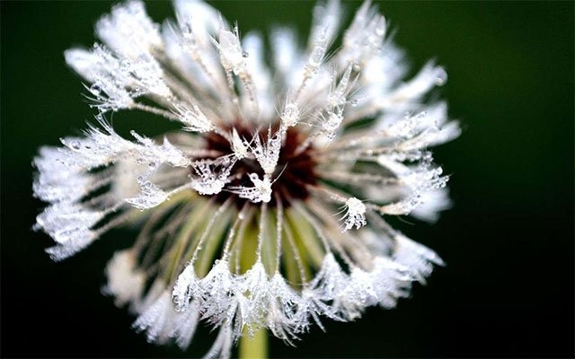 Hình nền mùa đông băng giá