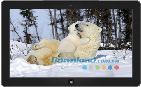 Furry Families theme