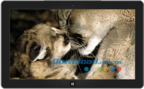 Furry Families theme