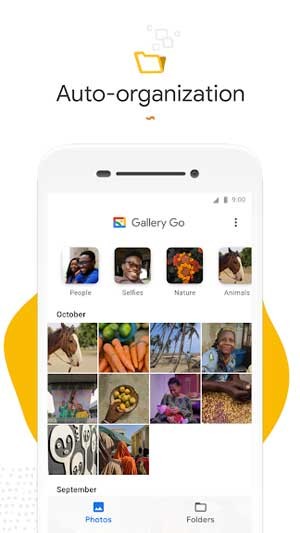 Gallery Go cho Android sẽ tự động sắp xếp lại hình ảnh của bạn theo các danh mục riêng