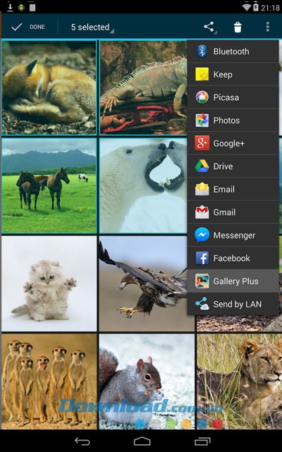 Gallery Plus for Android