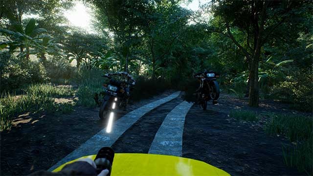 Khám phá khu rừng ma ám ở Indonesia với thảm thực vật rậm rạp