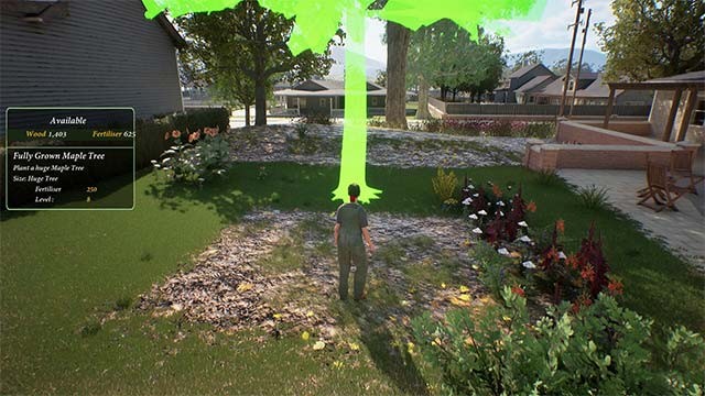 Trồng cây xanh, xây dựng công trình và cảnh quan bằng sự sáng tạo