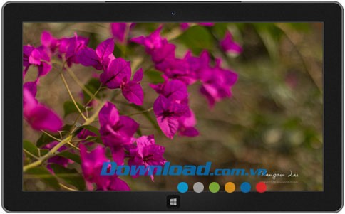 Garden Glimpses 3 theme