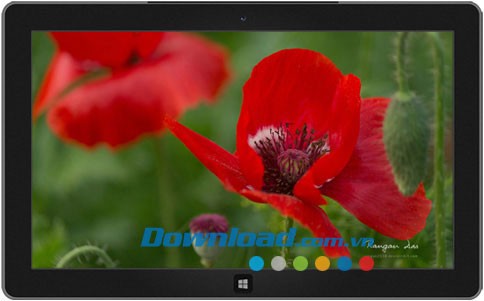 Garden Glimpses 3 theme