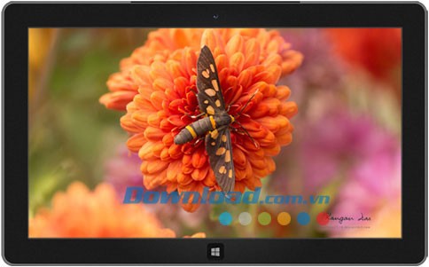 Garden Glimpses theme