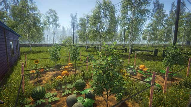 Garden Simulator là game mô phỏng nông trại chân thực