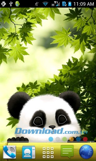 Gấu trúc hình nền động for Android