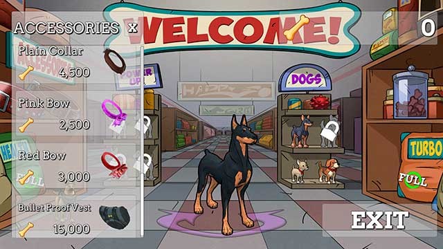 Mặc trang phục, trang bị cho các chú chó thêm mạnh mẽ